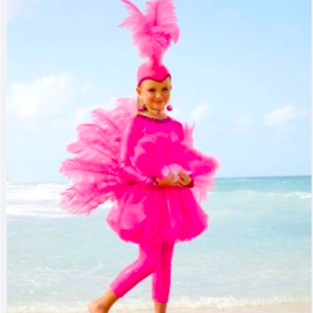 Chasing Fireflies Flamingo Costume, Size 4. Gently Used. 🦩